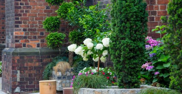 masonry contractors chicago masonry restoration chicago masonry tuckpointing chicago il tuckpointing contractor chicago tuckpointing chicago, chicago tuckpointing, tuckpoint chicago, tuckpointing cost, tuckpointing in chicago, cost of tuckpointing how much does tuckpointing cost, tuckpointing brick cost, tuckpointing contractor chicago, tuckpointing contractors chicago, tuckpointing chicago cost, tuckpointing cost chicago, masonry repairs chicago, how much is tuckpointing, masonry restoration chicago masonry repair chicago, average cost of tuckpointing, tuckpointing cost per square foot, brick repair chicago, chicago brick repair, fireplace restoration chicago balcony restoration chicago masonry contractors des plaines balcony waterproofing chicago tuckpointing contractor des plaines masonry contractors elk grove village tuckpointing contractor mount prospect masonry contractors mount prospect tuckpointing contractor elk grove village